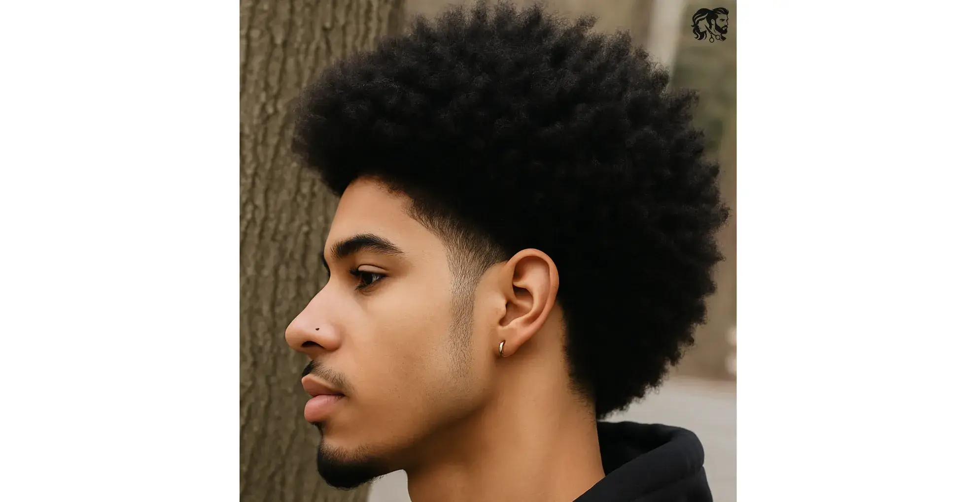 Classic Afro for Men
